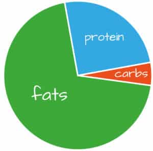 ketogenic diet macros