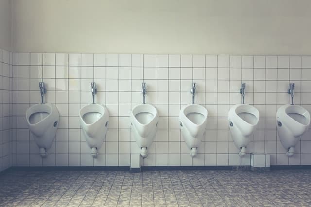 ketosis symptoms - increased urination
