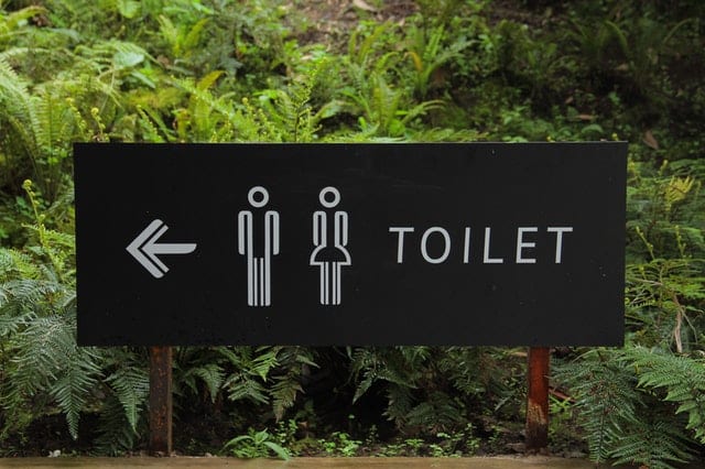 ketosis symptoms - toilet issues