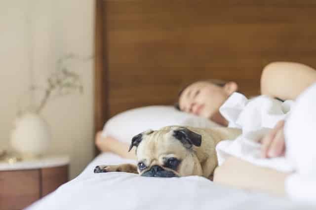 ketosis symptoms - insomnia