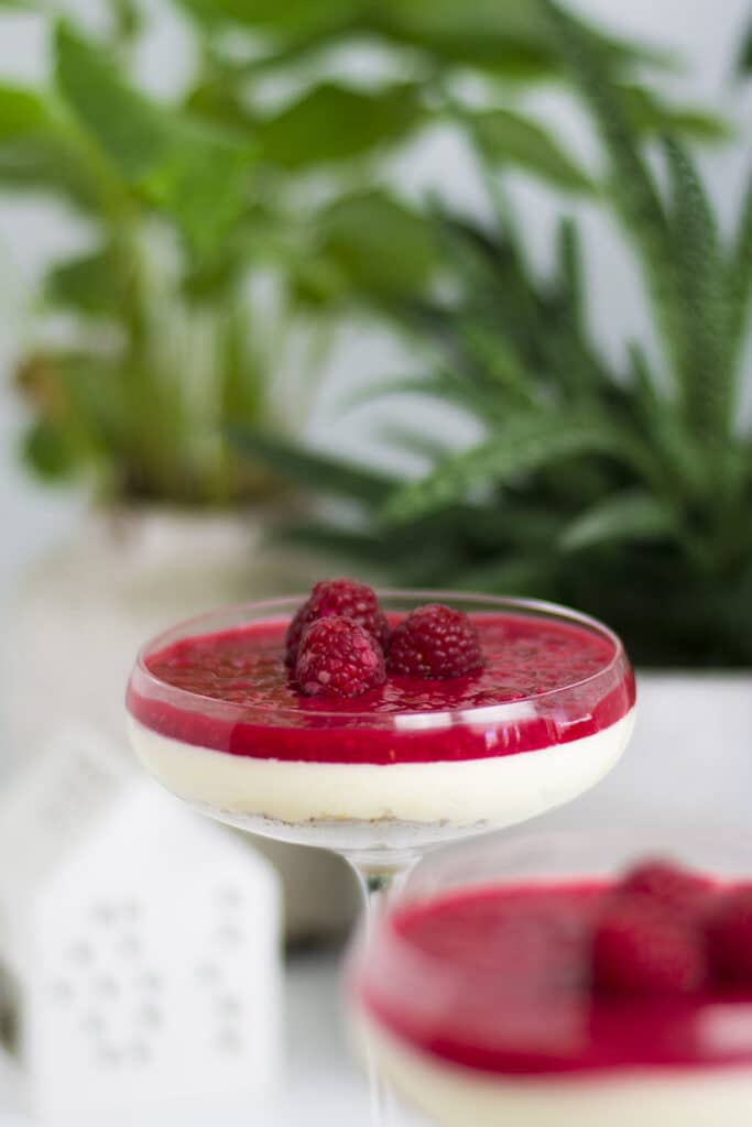 gluten free raspberry keto cheesecake