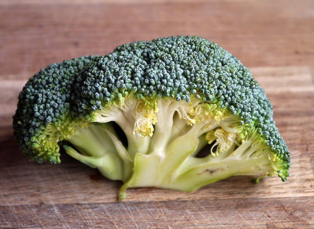 high fibre low carbfoods - broccoli