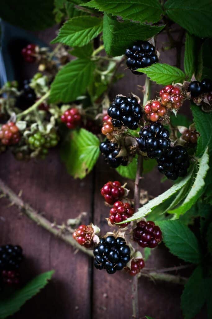 Are blackberries keto friendly?
