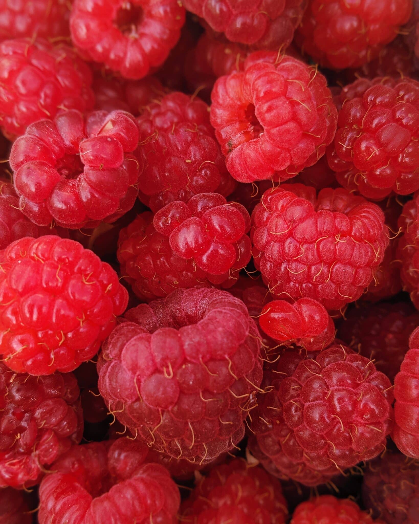 are raspberries keto friendly?