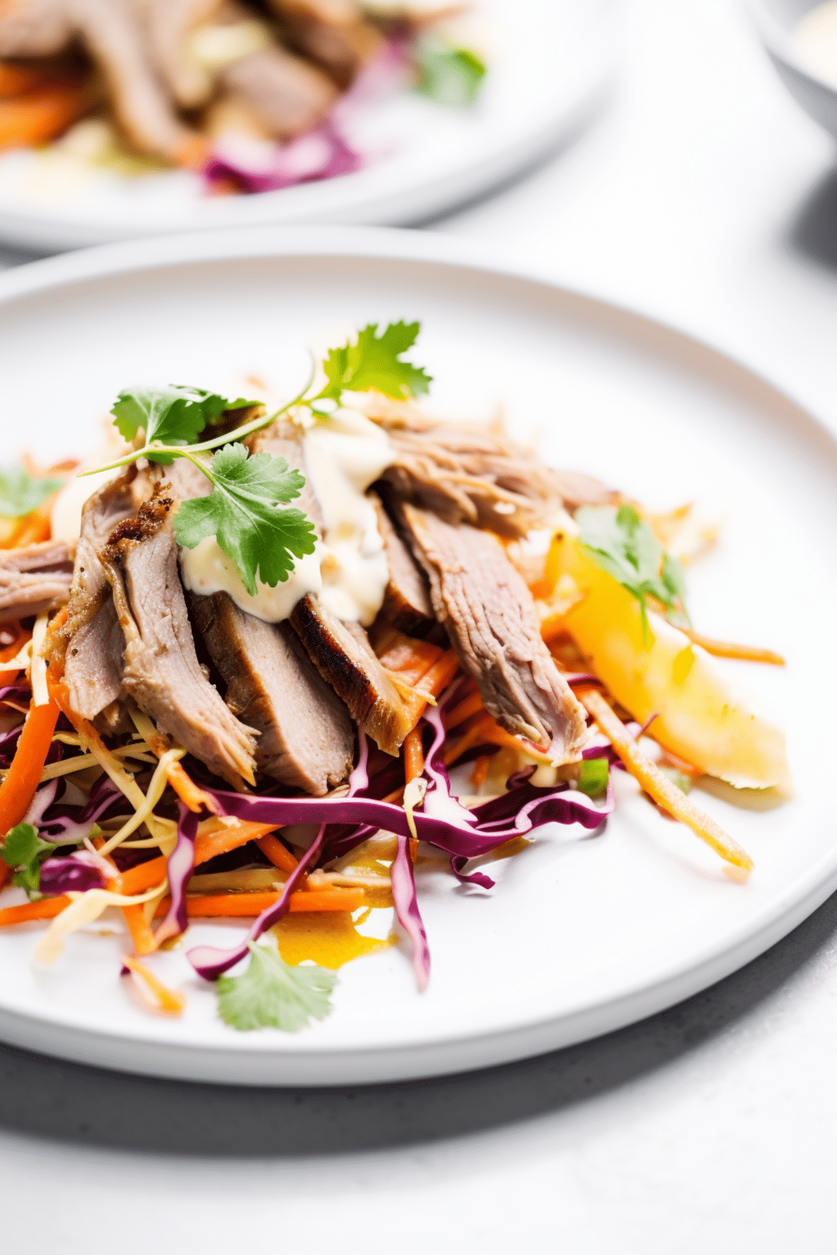 Keto Pulled Pork with Cabbage Slaw_001