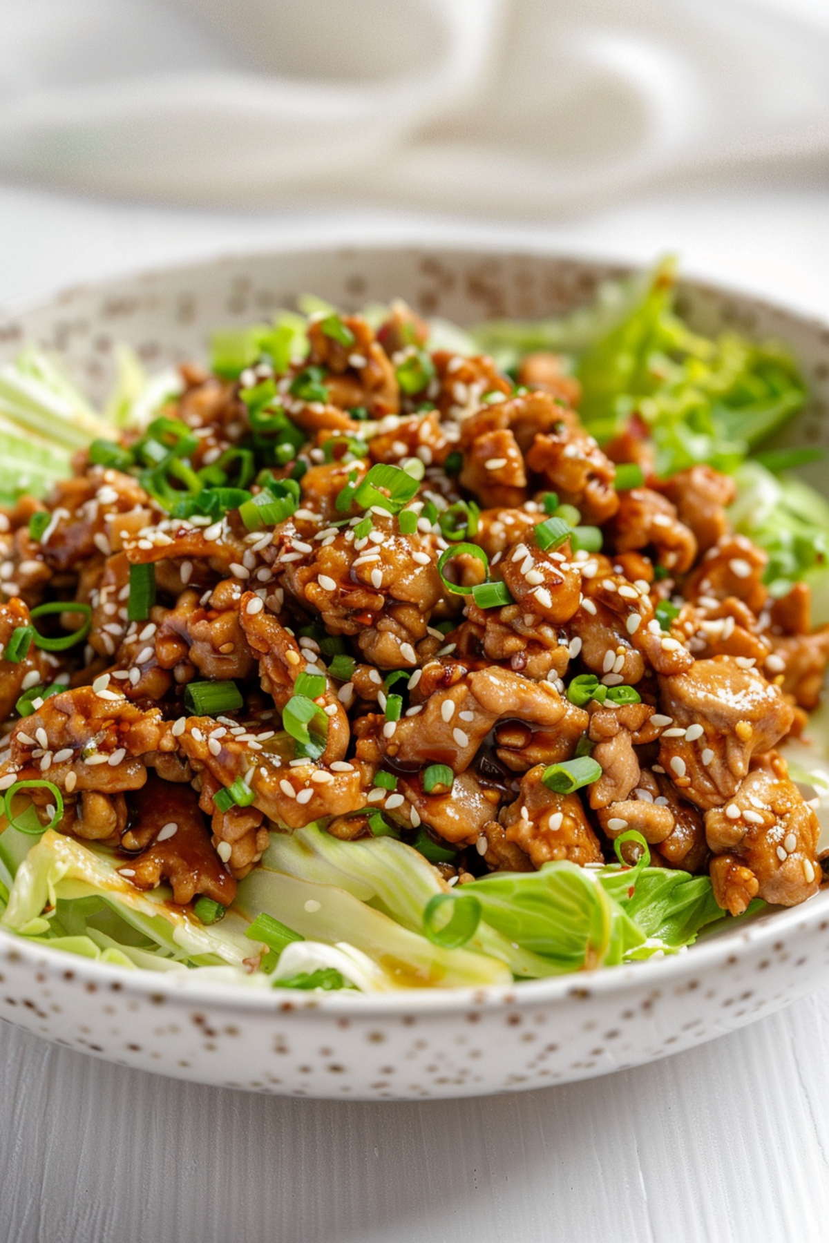 Keto Ground Chicken and Cabbage Stir Fry with Ginger Sauce_001