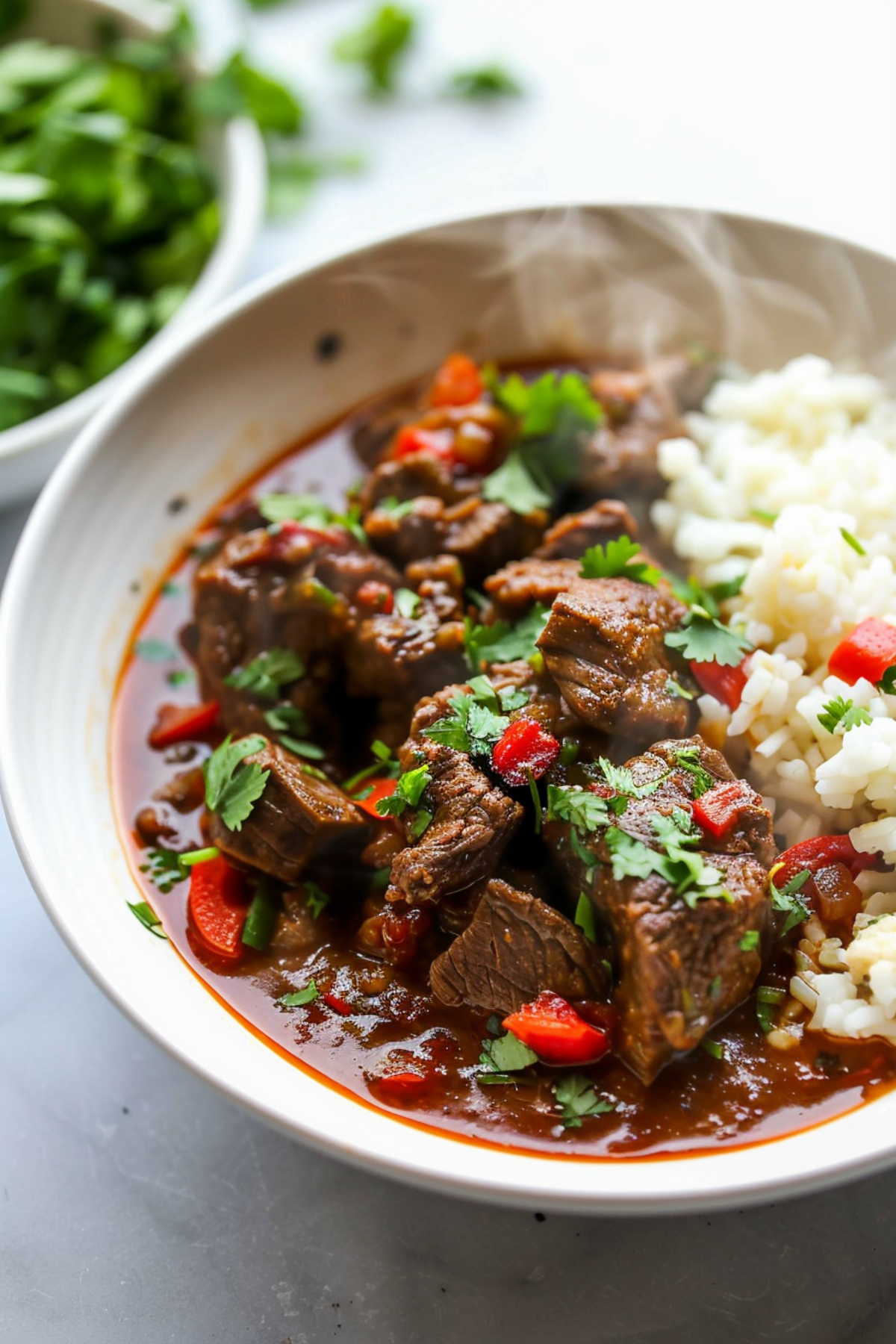 Keto Instant Pot Spicy Beef Heart Stew_001
