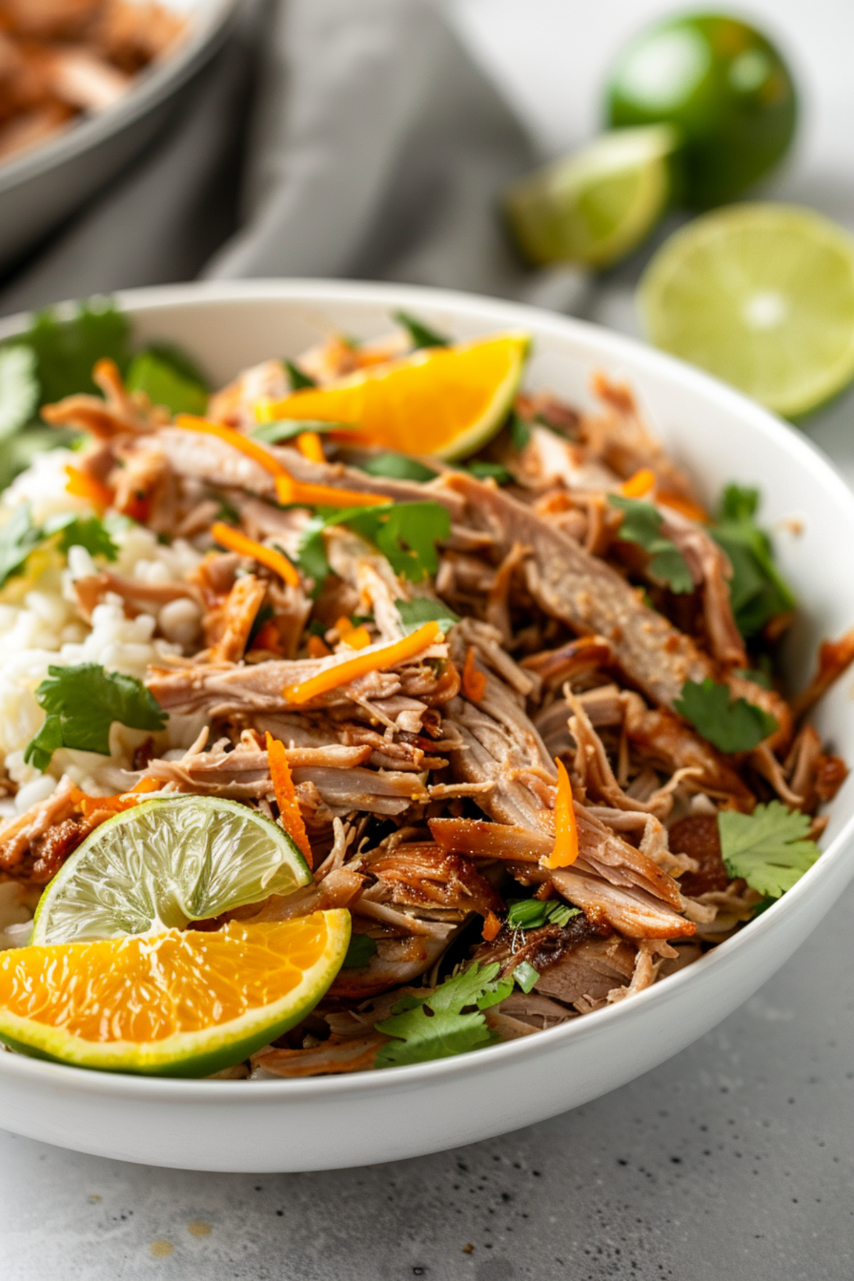 Slow Cooker Keto Carnitas_001