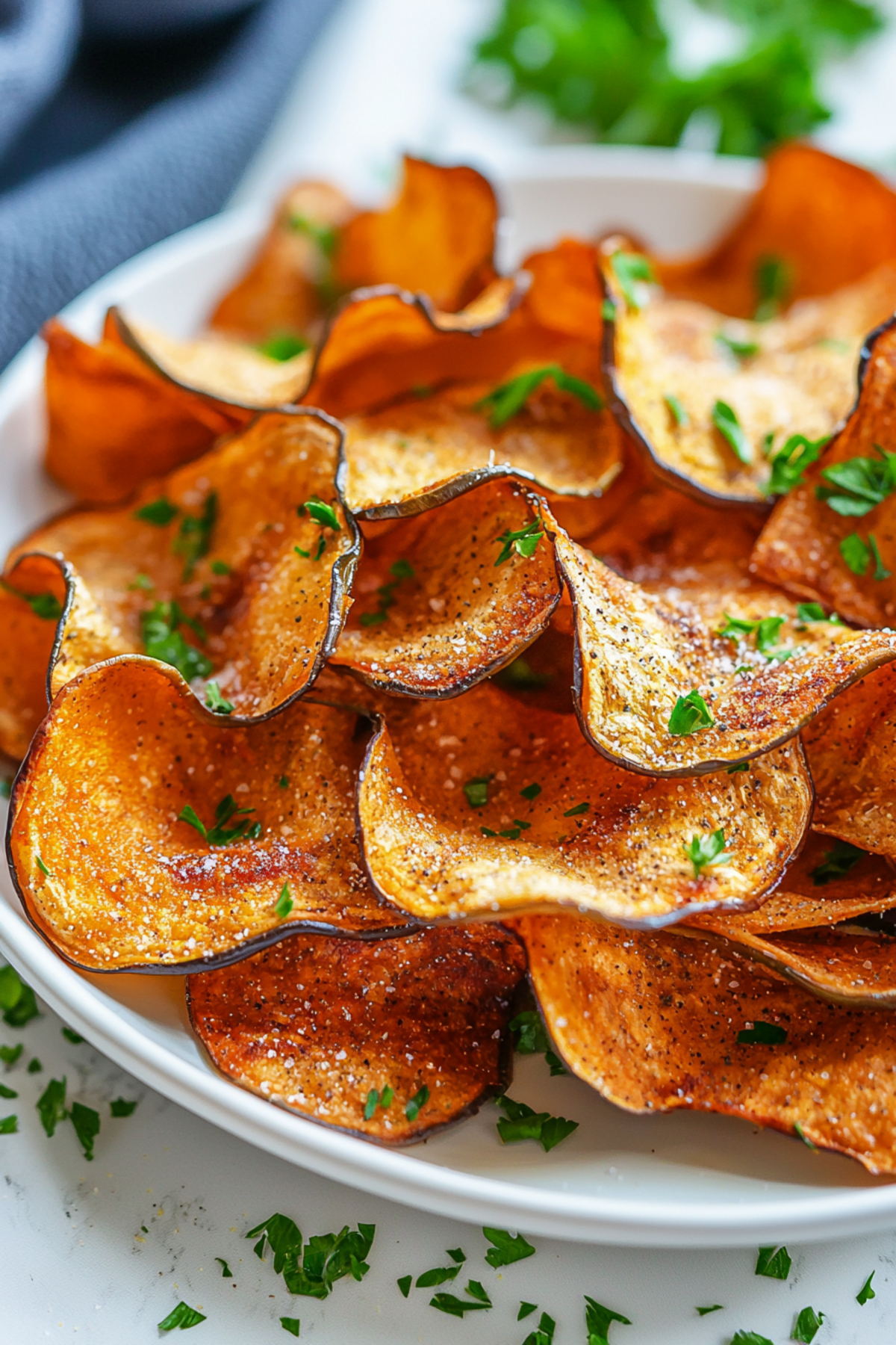Crispy Keto Eggplant Chips_001